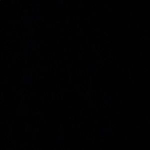 Meet your Posher, Aleah